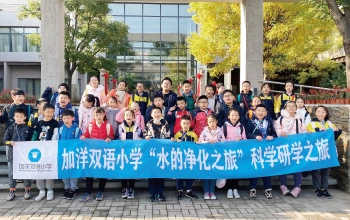 融合性课程课程图片